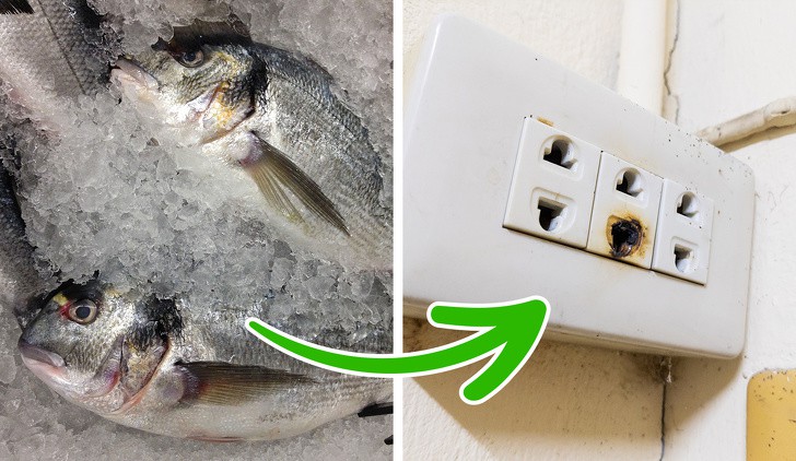 Sự cố chập cháy ổ điện hình ảnh minh họa cho sự cố chập cháy ổ điện gây ra mùi tanh như cá