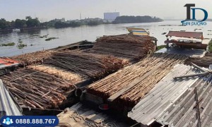 Tìm hiểu bảng báo giá cừ tràm tại TPHCM năm 2020