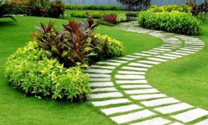 Cách chọn đá lát lối đi chung cư