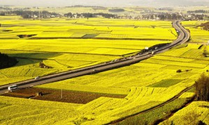 Thu hồi đất nông nghiệp bôi thường như thế nào?