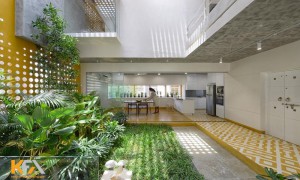 Xu hướng không gian xanh trong thiết kế nội thất