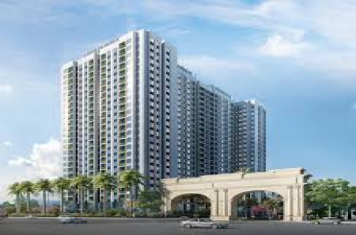 Chung cư Anland Premium