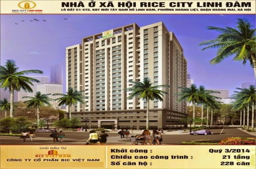 TỔ HỢP NHÀ Ở XÃ HỘI RICE CITY