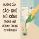 Hướng dẫn cách khử mùi cống trong nhà vệ sinh chung cư hiệu quả